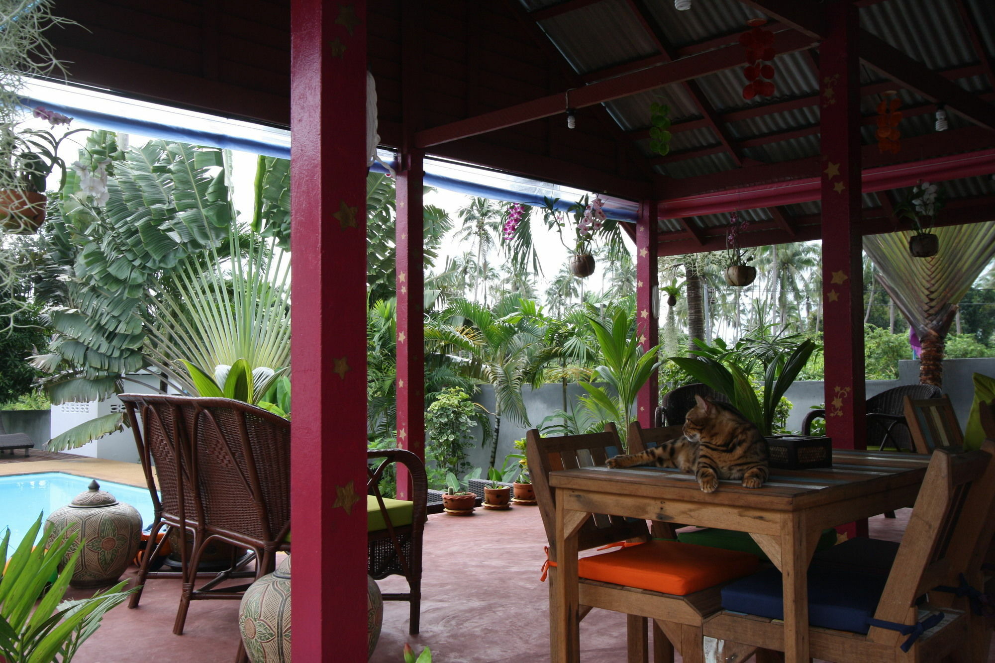 מלון Na Mueang Samui Le Reve מראה חיצוני תמונה