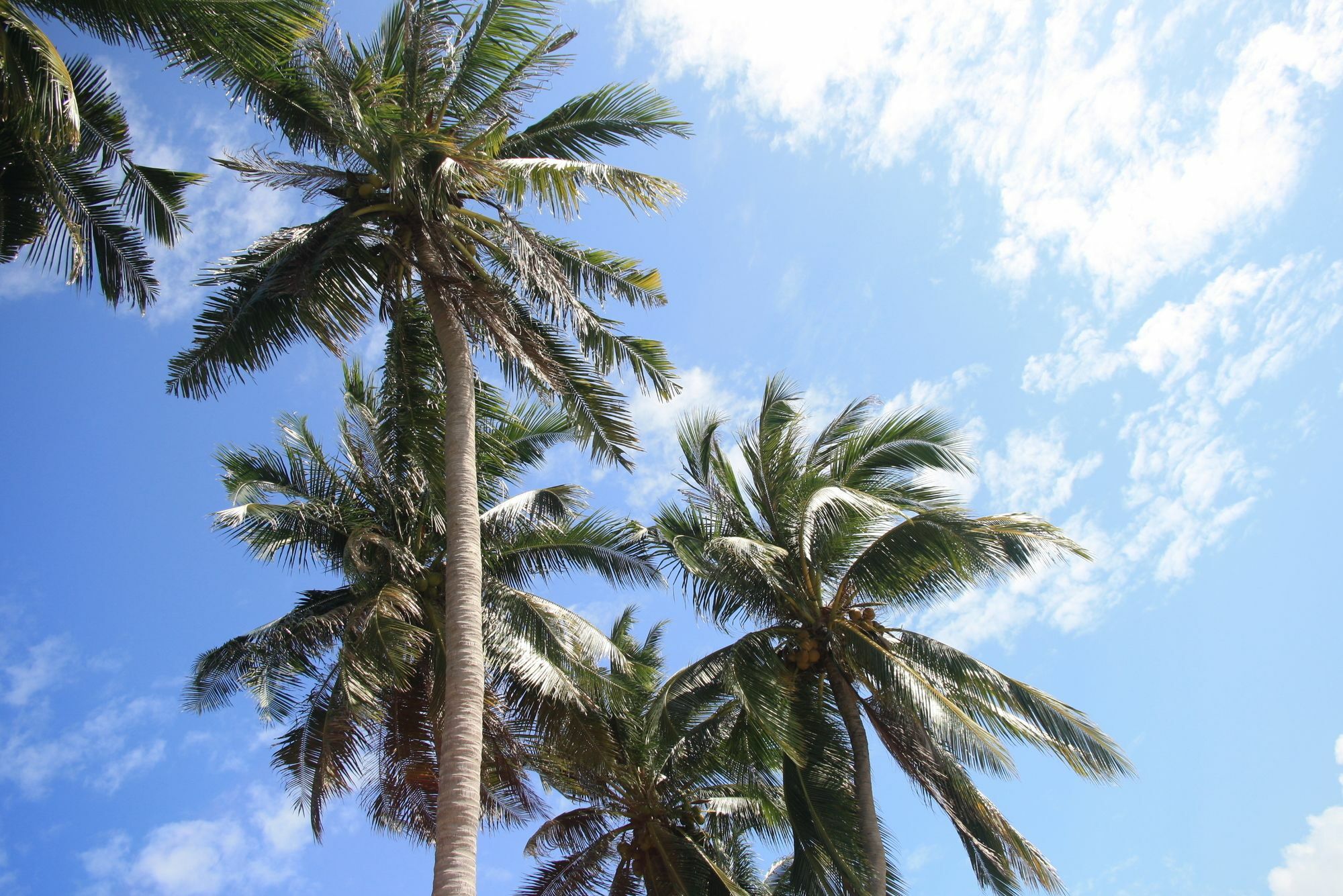 מלון Na Mueang Samui Le Reve מראה חיצוני תמונה